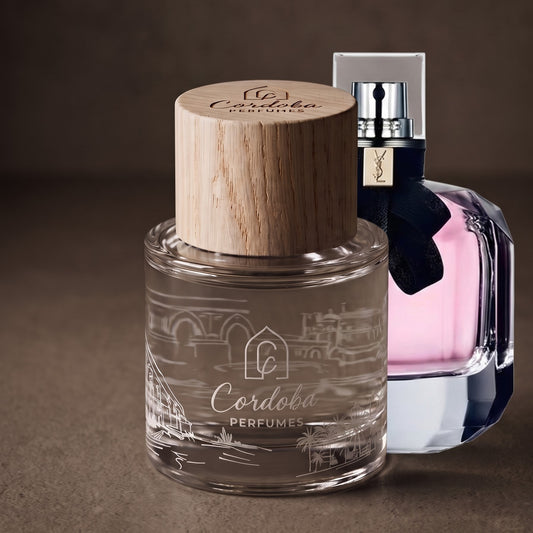 Inspired by Ysl Mon Paris